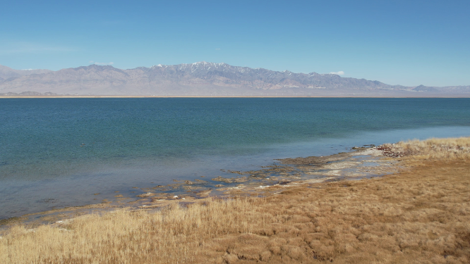 青海小柴旦湖碧绿色湖泊美景